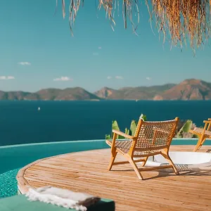 سيفيو تركيا